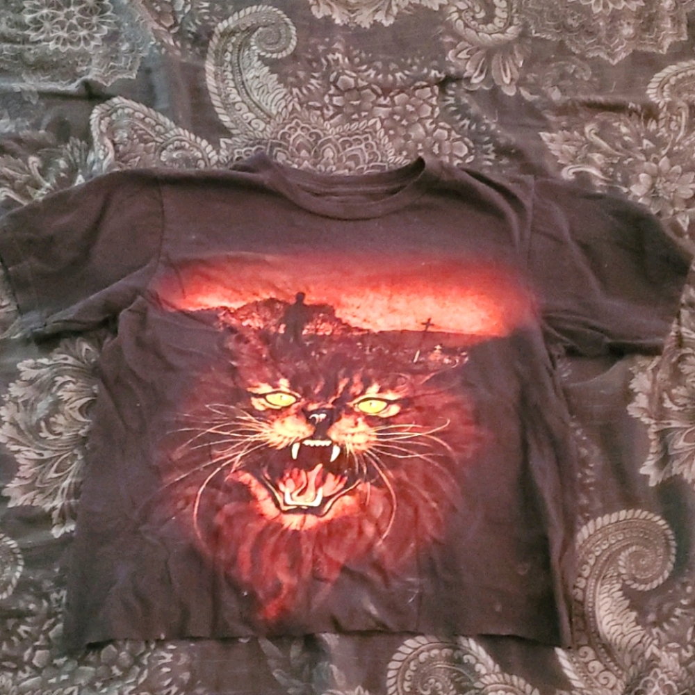 Fright Rags diy cropped Pet Semetary shirt